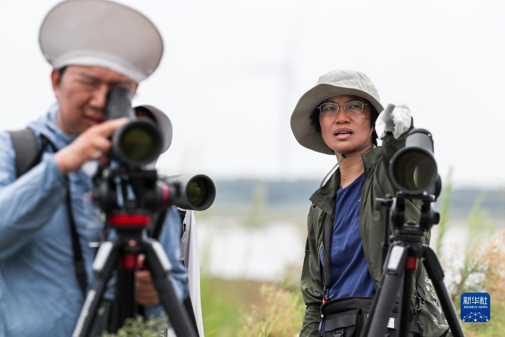 威尼斯v27