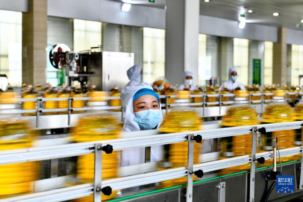 永利电脑下载